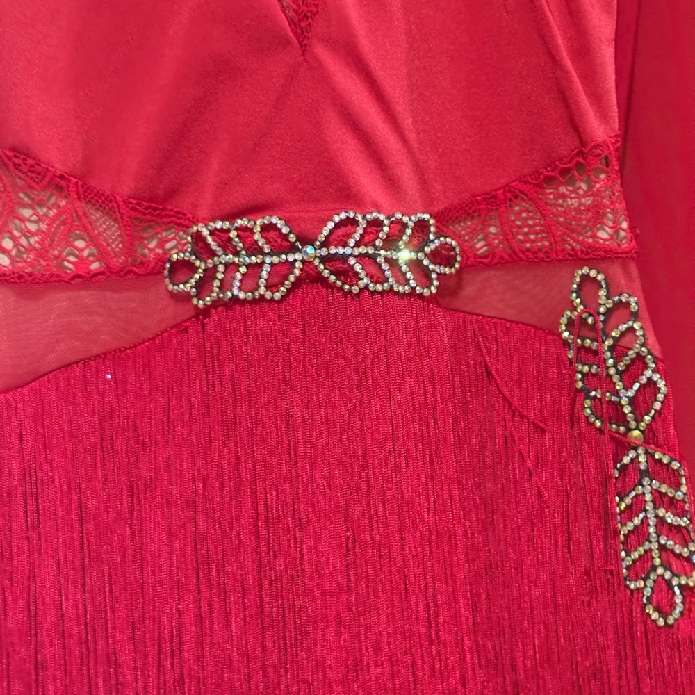 Adult Red illusion chest/sleeves dress w Lace front/Fringe bottom leo. attached. - Picture 3 of 3